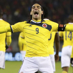 Colombia Trøje Hjemme 2013/14