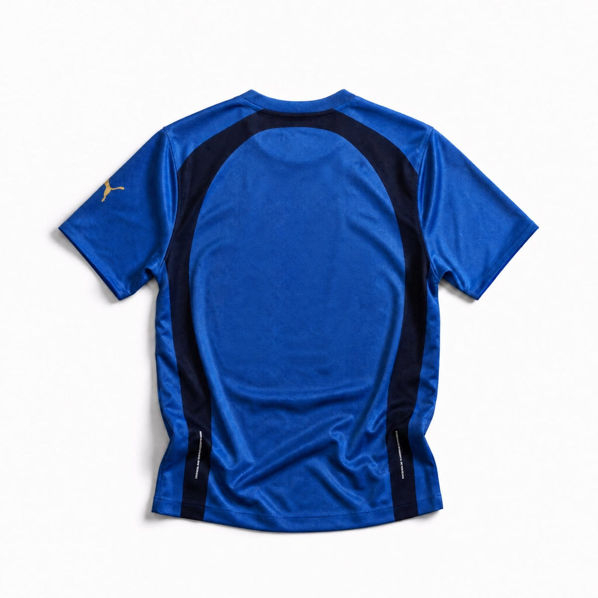 Tessuto maglia Italia 2006 pattern azzurro